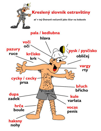 ostravština - anatomie